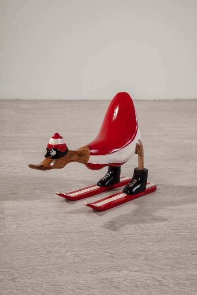 Ski Duck