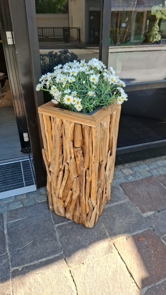 Teak Vase square Root