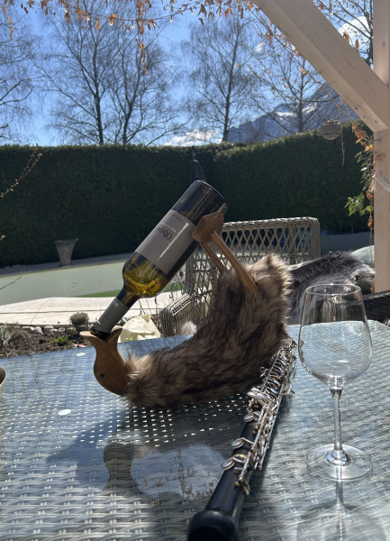 Ente Chill