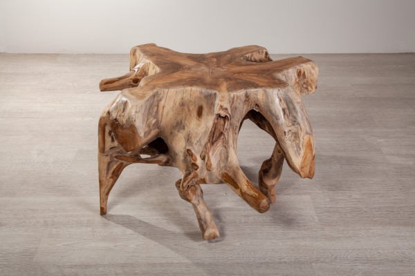 Coffee Table Roots