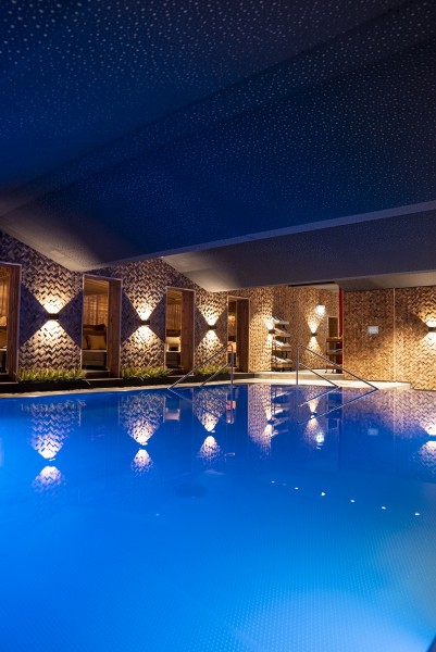 Wall Decoration Fish Bones